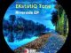 EKstatiQ Tone – Vestige (Original Mix) Mp3 Download