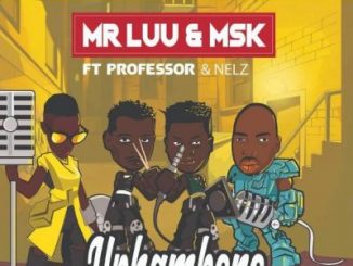 (VIDEO) MR LUU & MSK FT PROFESSOR & NELZ – UPHAMBENE