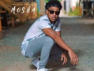 Tendaness – Mosha Ft. Masandi