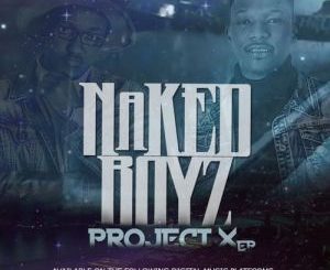 NAKEDBOYS – WE PLUGGED (GQOM MIX) FT. WESTERN BOYZ