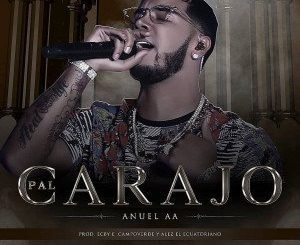 Anuel AA – Pal Carajo