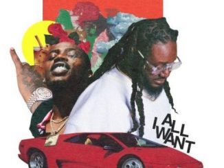 T-Pain – All I Want Ft. Flipp Dinero