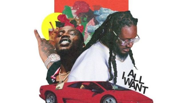 T-Pain – All I Want Ft. Flipp Dinero