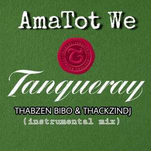 Thabzen Bibo & ThackzinDJ - AmaTot We Tanqueray (Instrumental Mix)