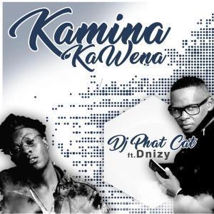 DJ Phat Cat - Kamina Kawena Ft. Dnizy