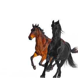 Lil Nas X - Old Town Road (feat. Billy Ray Cyrus) [Remix]