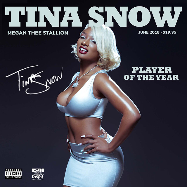 Megan Thee Stallion - Cocky Af