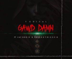 Tedical – Gawd Damn Ft. Jayhood & Pross Trigger