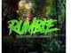 Dj Damiloy Daniel & Ritual Afrikan Drums – Rumble (Afro Tech)