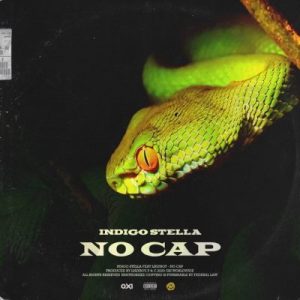 Indigo Stella ft LNLYBOY – No Cap