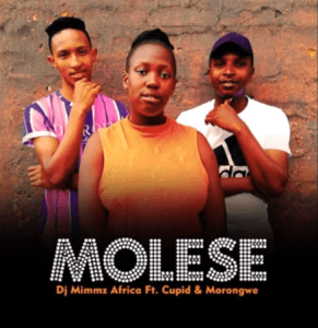 Dj Mimmz Africa – Molese Ft. Cupid & Morongwe (Original)