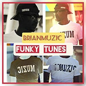 BrianMuzic - Funky Tunes (Original Mix)