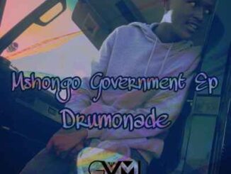 Drumonade – Mshongo Government