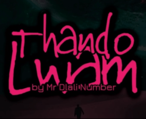 Mr Dlali Number – Thando Lwam