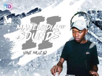 Vine Muziq – Mamelodian Sounds