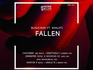 BLACKJEAN - FALLEN (DEMENTED SOUL & NOXIOUS DJ AFRO MIX) Ft. SHALATI