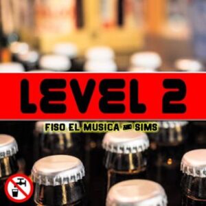 Fiso El Musica & Sims – Level 2