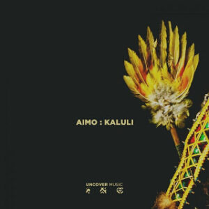 Aimo – Kaluli (Original Mix)