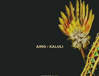 Aimo – Kaluli (Original Mix)