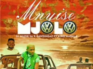 Dj Muzik SA - Mnyise Mjolo Ft. King Madala & Gawdingaz