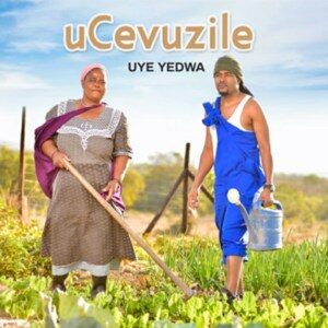 uCevuzile - Andisabaweli