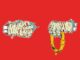 ALBUM: Run The Jewels – Meow the Jewels