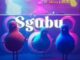 Shuffle Muzik – Sgubu Ft. KBrizzy , Dinho, DBN Gogo & Malindi