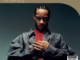 ALBUM: DJ Quik – DJ Quik: Platinum & Gold Collection