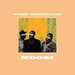 Robin Thirdfloor – Ndosi