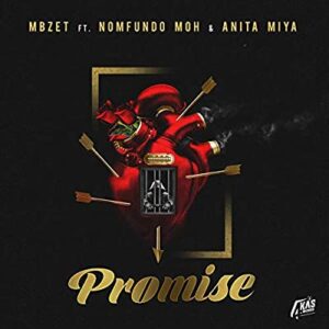 MBzet – Promise Ft. Anita Miya Moh & Anita Miya