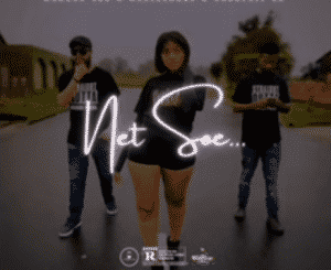 Meneer Cee – Net Soe (Alles Wat Mal Is) Ft. Arriecakes & DeeLogic SA