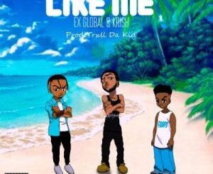 Priddy Prince – Like Me ft Ex Global & Krish