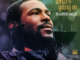 ALBUM: Marvin Gaye – What’s Going On: The Detroit Mix