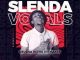 Slenda vocals – Piano Paradise Ft. Drift Vega