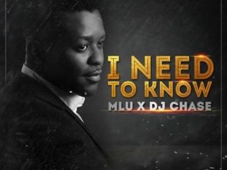 MLU – I Need To Know ft DJ Chase