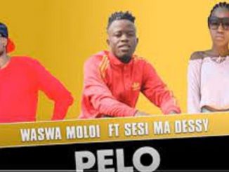 Waswa Moloi – Pelo Ft. Sesi Ma Dessy (Original)