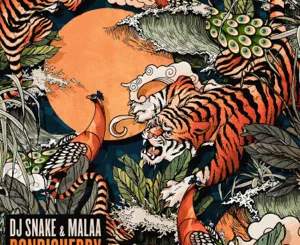 pondicherry-single-dj-snake-and-malaa