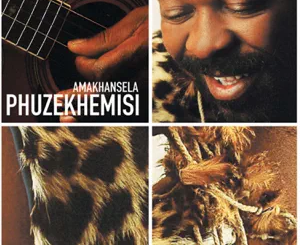 phuzekhemisi-amakhansela