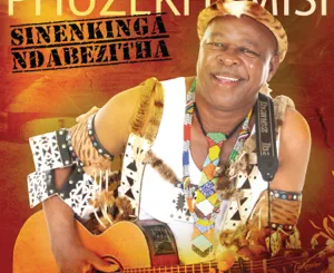 phuzekhemisi-sinenkinga-ndabezitha