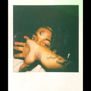 first-degree-single-thouxanbanfauni