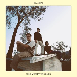 WALLOWS-TELL-ME-THAT-ITS-OVER