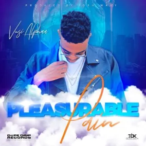 DOWNLOAD-Vusi-Alphaa-–-Pleasurable-Pain-–.webp