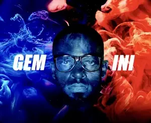 Gemini-Prince-Kaybee