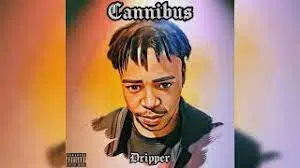 DOWNLOAD-Dripper-–-Cannibus-–.webp