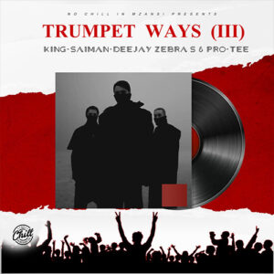 DOWNLOAD-King-Saiman-Deejay-Zebra-SA-Pro-Tee-–-Stay