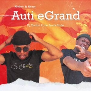 DOWNLOAD-DJ-Techzi-–-Auti-EGrand-Ft-Ice-Beats-Slide