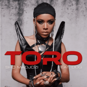 DOWNLOAD-Sho-Madjozi-–-Toro-ft-DDG-–