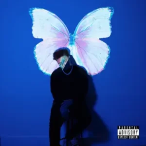 The-Butterfly-Effect-Phora