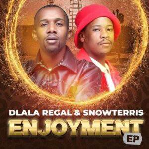 dlala-regal-snowterris-–-enjoyment