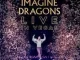 Imagine Dragons - Believer (live in vegas)